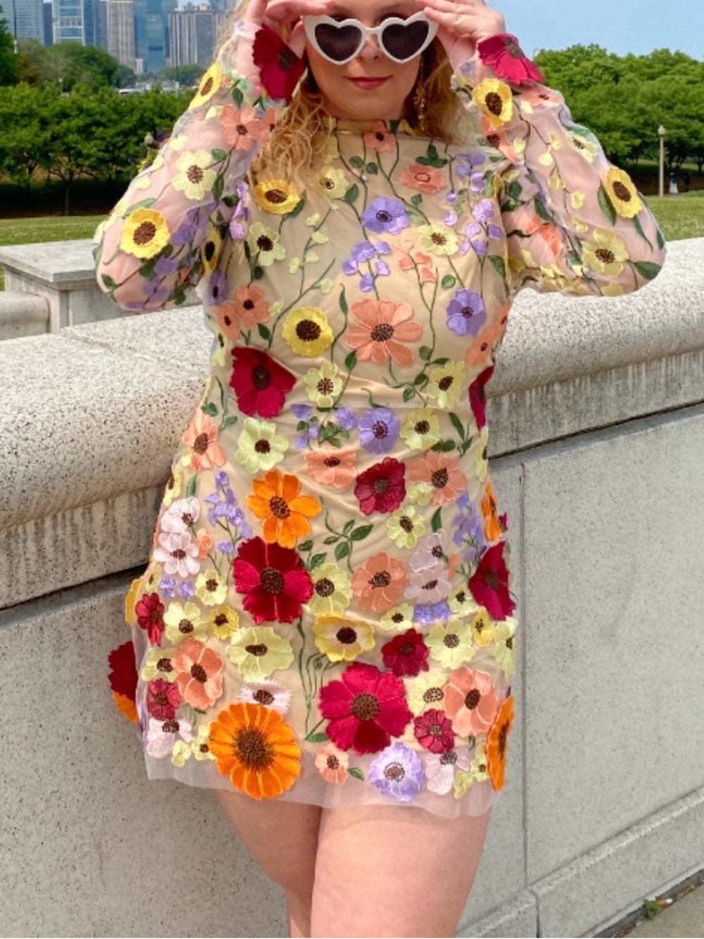 Sheer Embroidered Floral Long Sleeved Mini Dress